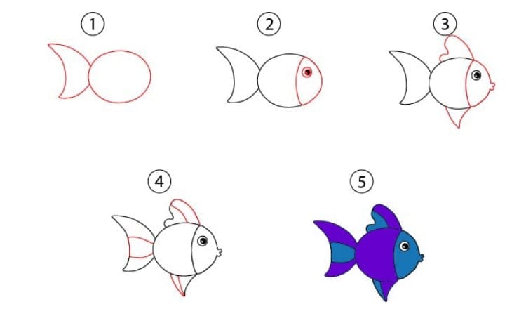 Easy Fish Drawing Step By step