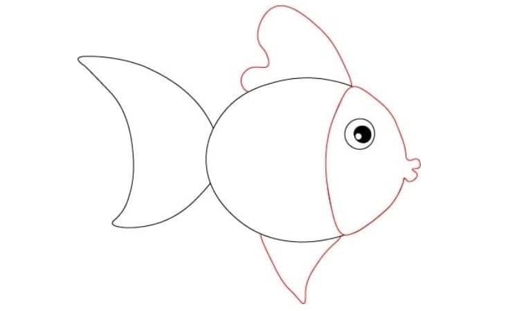 Easy Fish Drawing Step3