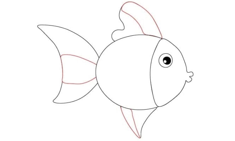 Easy Fish Drawing Step4