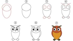 How to Draw Owl - A Step By Step Guide - Cool Drawing Idea