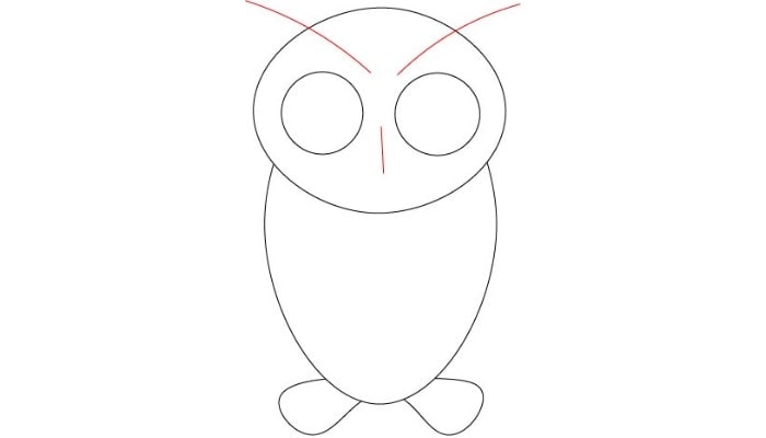 How To Draw Owl step4