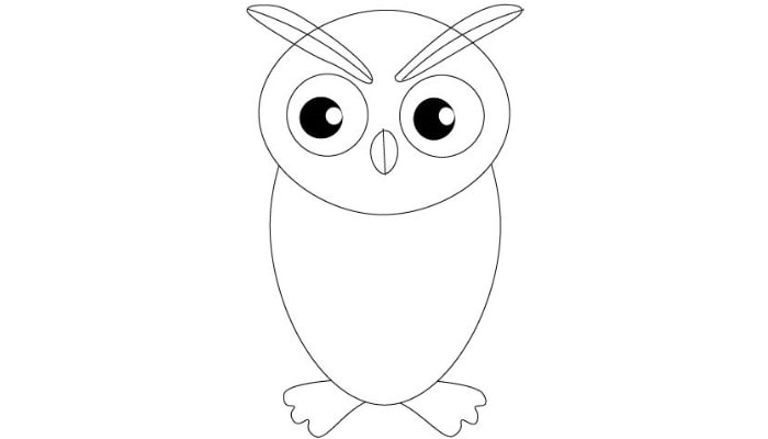 How To Draw Owl step5
