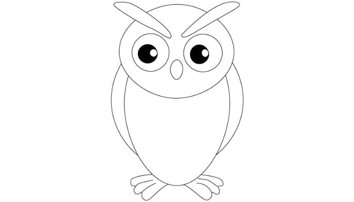 How To Draw Owl step6