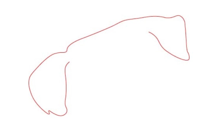 How to Draw a Dog step1