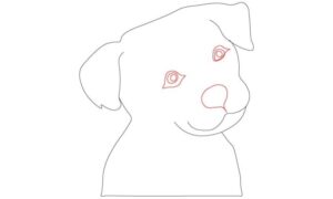 Dog Drawing - Step By Step Tutorials - Cool Drawing Idea