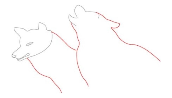 How to Draw a Wolf step3