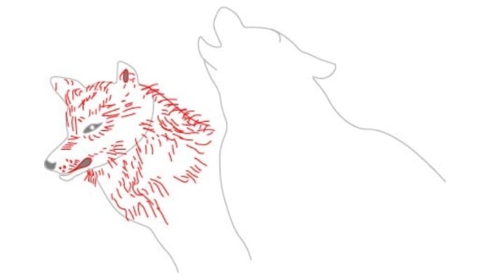 How to Draw a Wolf step4