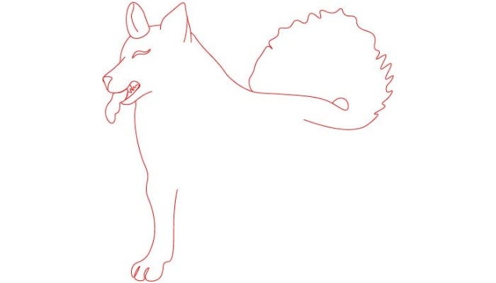 Husky Drawing step1