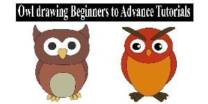 You are currently viewing How to Draw Owl – A Step By Step Guide