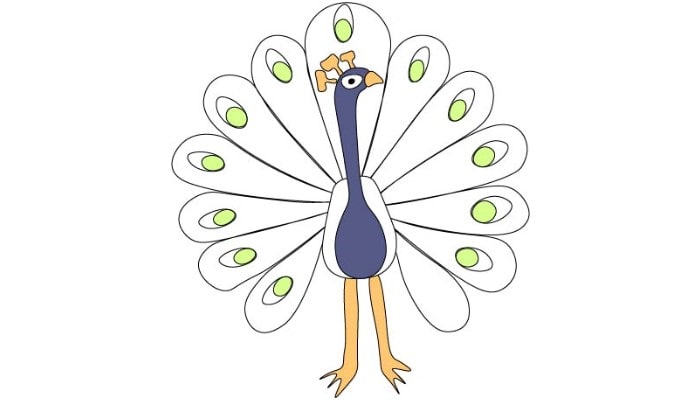Peacock Cartoon Drawing step6