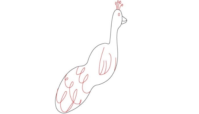 Pencil Peacock Drawing step2