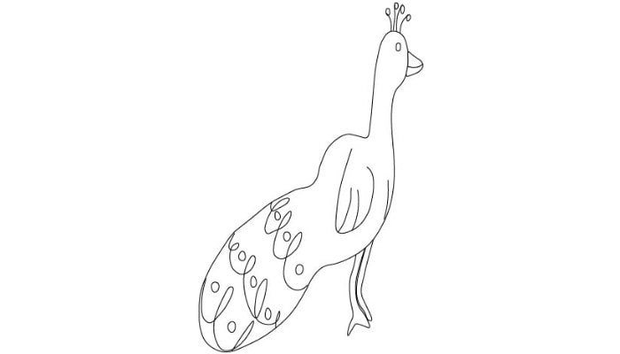 Pencil Peacock Drawing step4