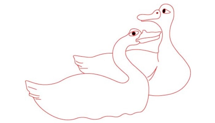Realistic Duck Drawing step1