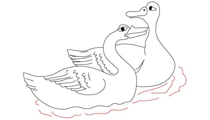 Realistic Duck Drawing step3