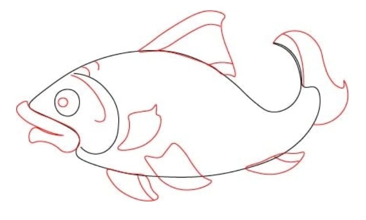 Realistic Fish Drawing Step3