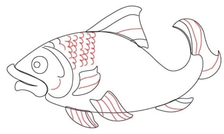 Realistic Fish Drawing Step4