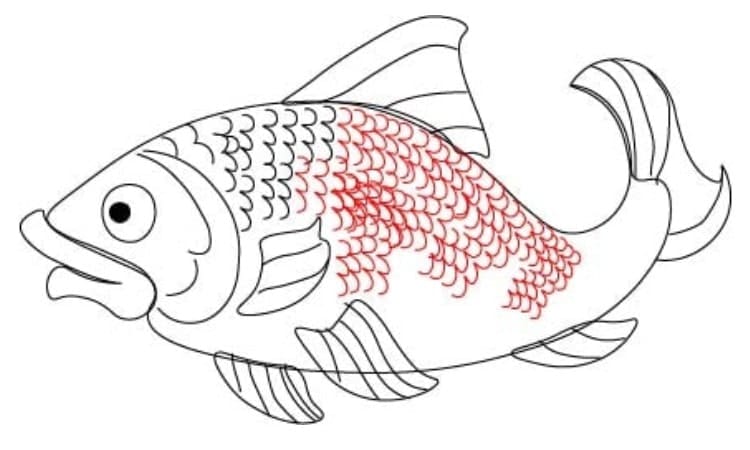 Realistic Fish Drawing Step5