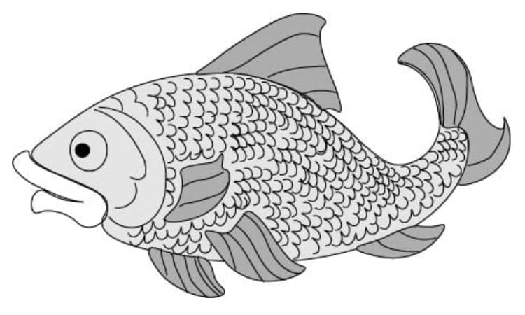 Realistic Fish Drawing