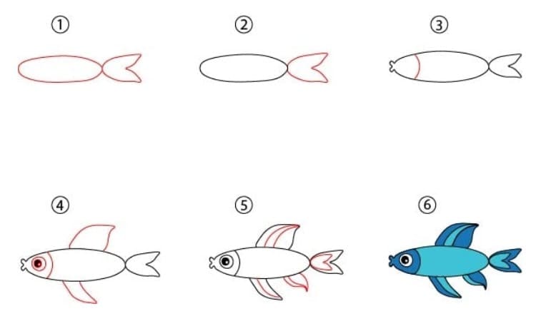 Simple Fish Drawing Step By Step