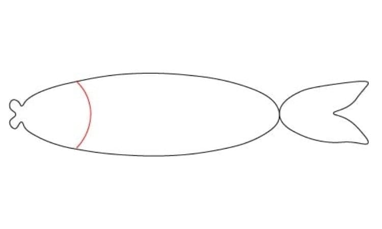 Simple Fish Drawing Step3