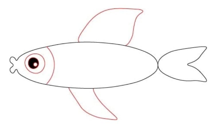 Simple Fish Drawing Step4