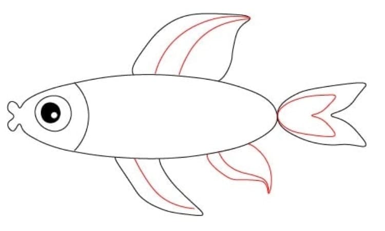 Simple Fish Drawing Step5