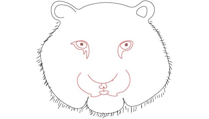 Tiger Face Drawing step2
