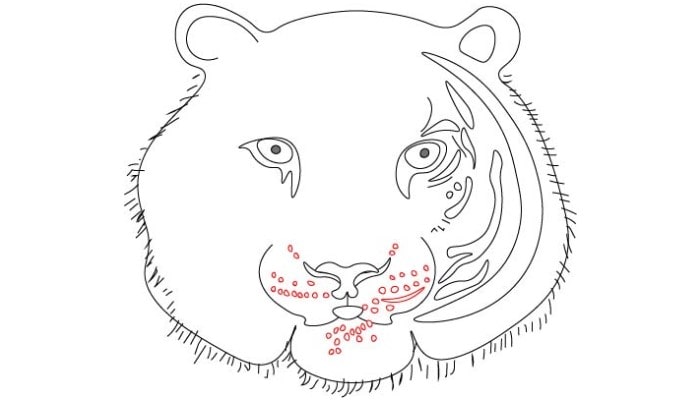 Tiger Face Drawing step4