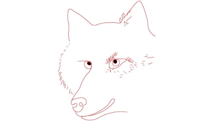 Wolf Face Drawing step1