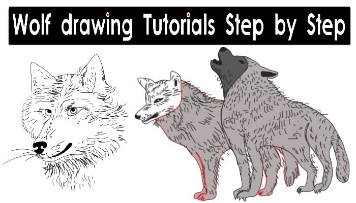 wolves mating hard drawing