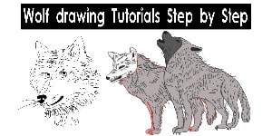 You are currently viewing Realistic Wolf Drawing – Step By Step Tutorial
