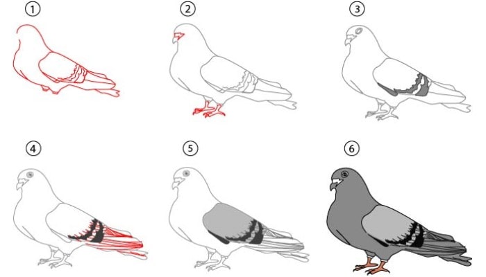Bird drawing easy