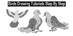 Bird Drawing - Step By Step Tutorial - Cool Drawing Idea