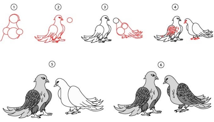 Drawing of birds