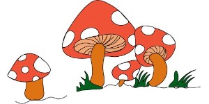 You are currently viewing Mushroom Drawing – Step By Step Tutorial