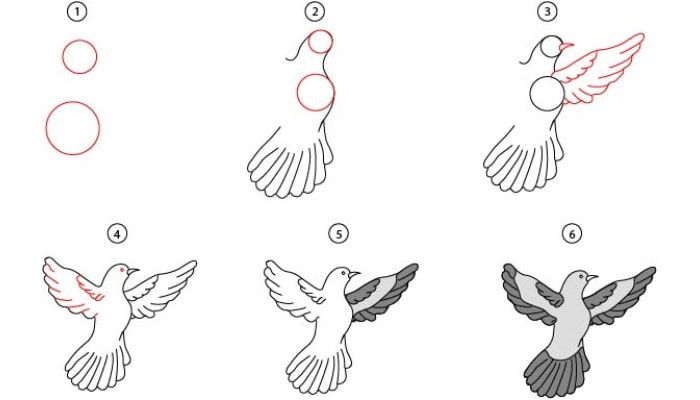 how to draw a realistic bird flying step by step