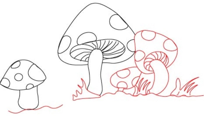 Mushroom Drawing step3