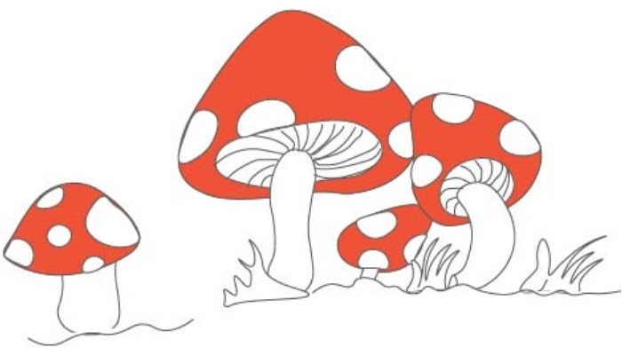 Mushroom Drawing step4