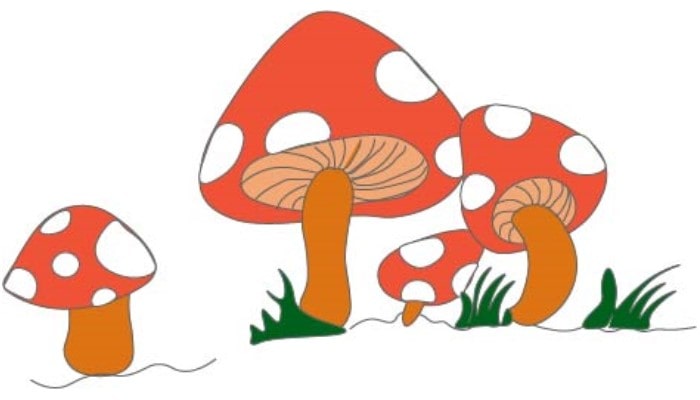 Mushroom Drawing step5