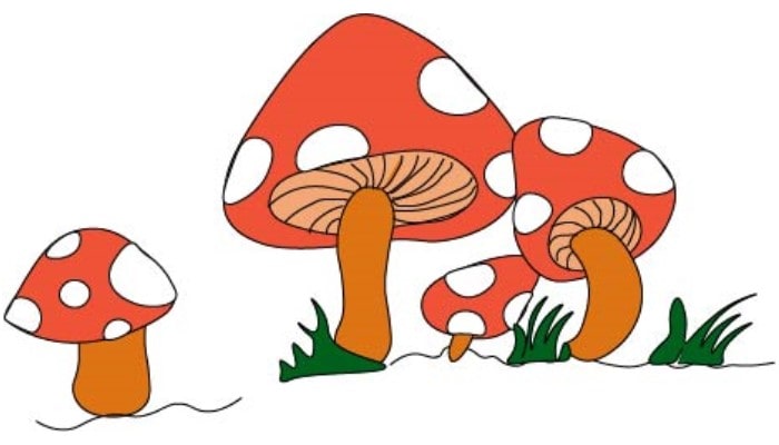Mushroom Drawing step6