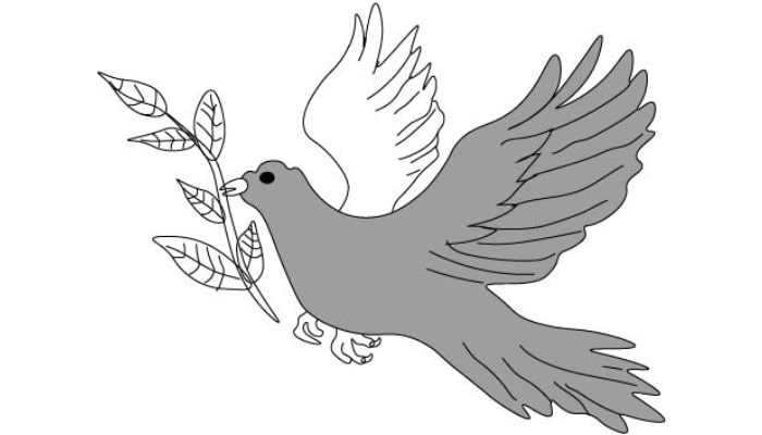 Simple Bird Drawing step5