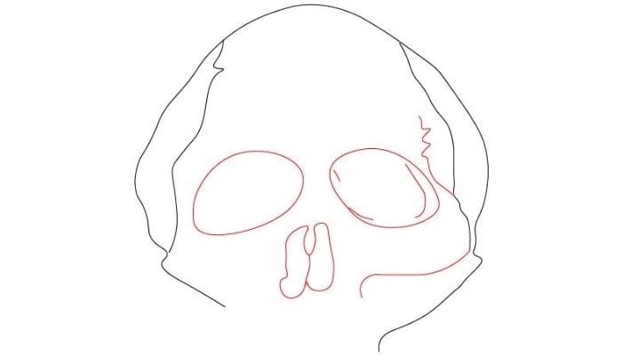 Skull Drawing step3