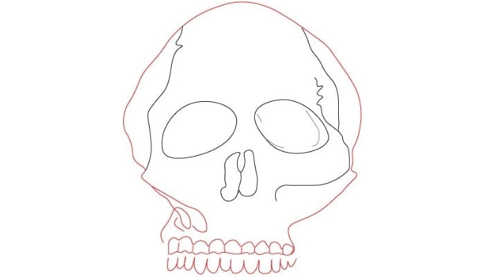 Skull Drawing step4