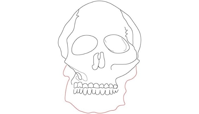 Skull Drawing step5