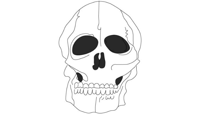 Skull Drawing step6