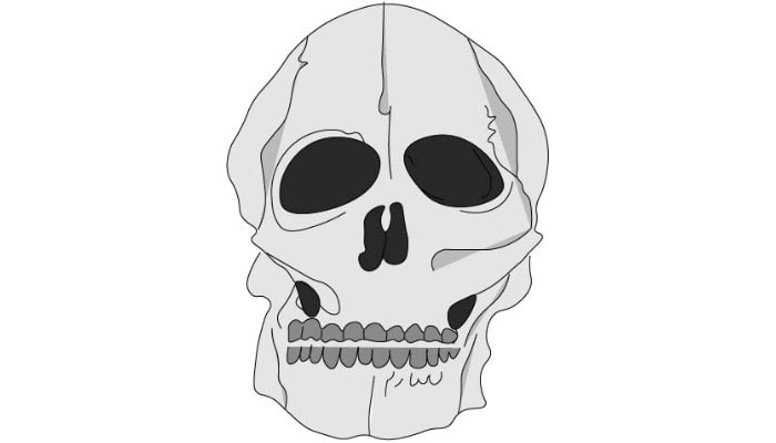 Skull Drawing step7