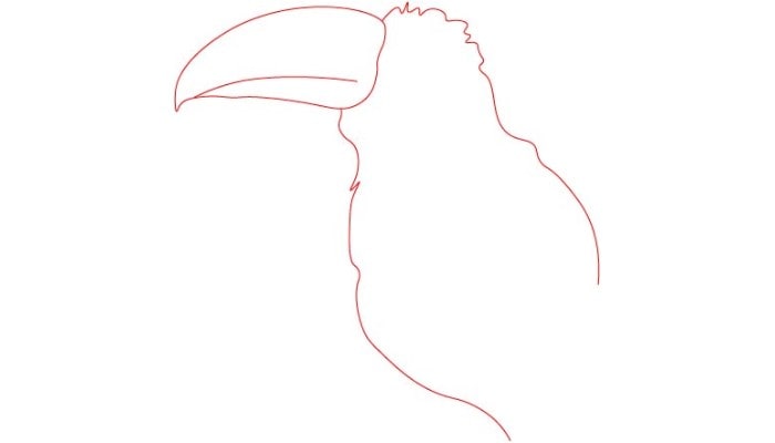 Toucan Drawing step1