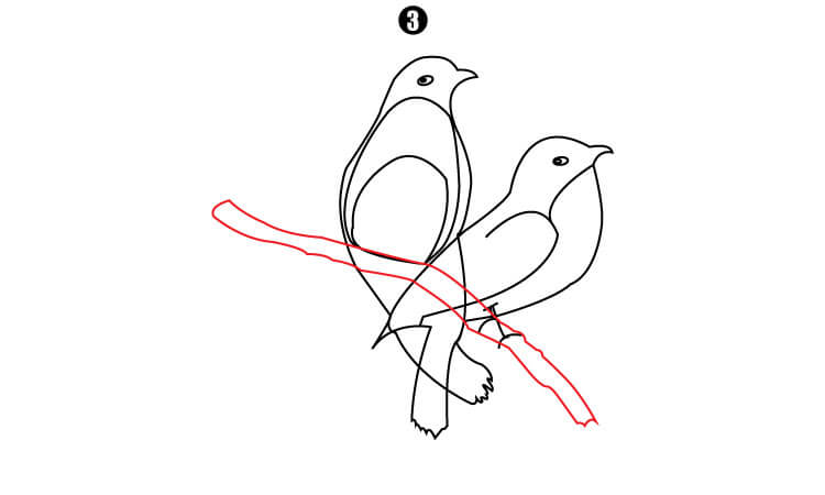 Bluebird Drawing step3