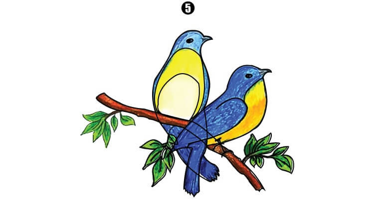 Bluebird Drawing step5