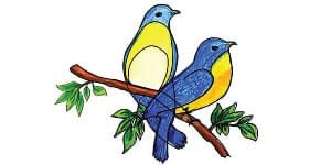 Read more about the article Bluebird Drawing – Step By Step Tutorial